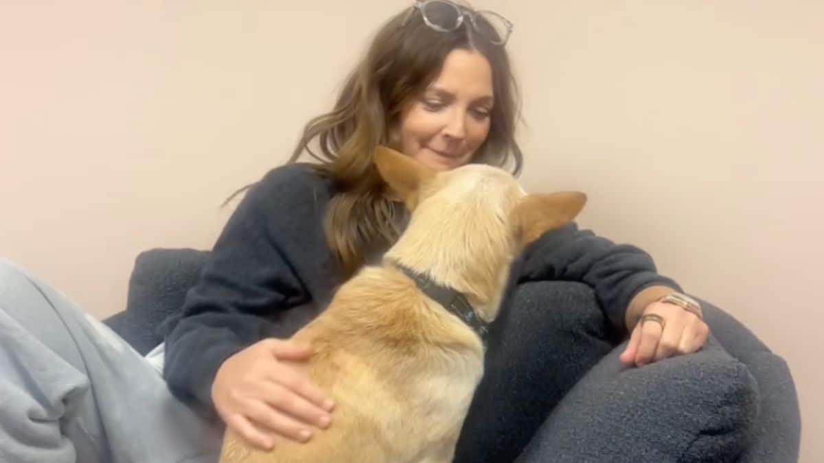 Drew Barrymore's Dog Chews on Eva Mendes' Dress During Talk Show - DogTime