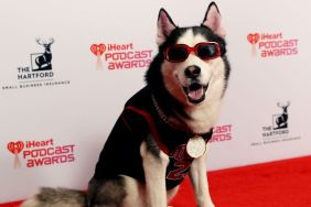 Swaggy Wolfdog attends the 2024 iHeartPodcast Awards