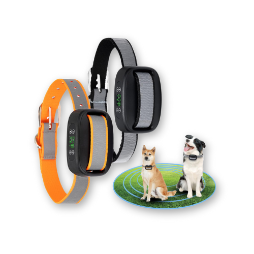 Best Dry Wireless Dog Fence for Dogs