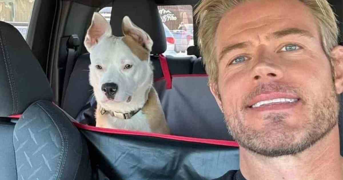 Trevor Donovan Warns of Xylitol Risks After Nearly Losing Dog DogTime