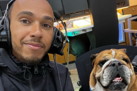 Lewis Hamilton dog pet Roscoe bulldog