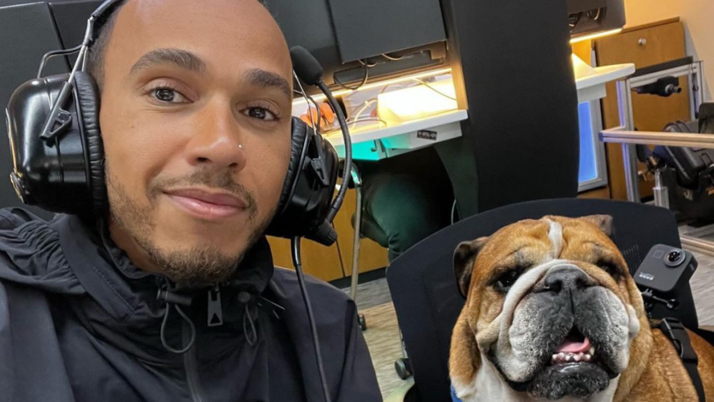 Lewis Hamilton dog pet Roscoe bulldog