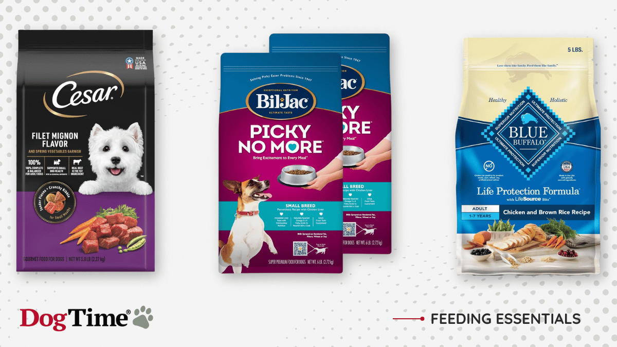 7 Best Dry Dog Food for Picky Eaters in 2024