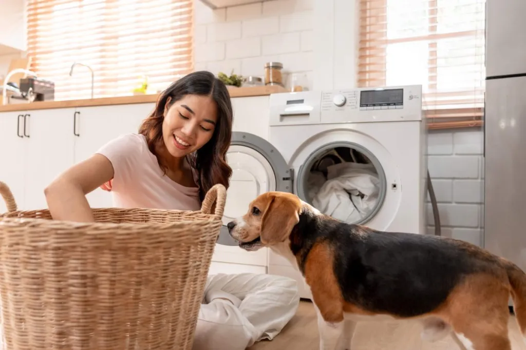 Woman putting laundry in the washing machine with her pet nearby.