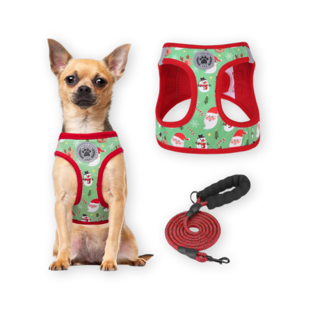 Best Christmas Dog Outfits and Accessories