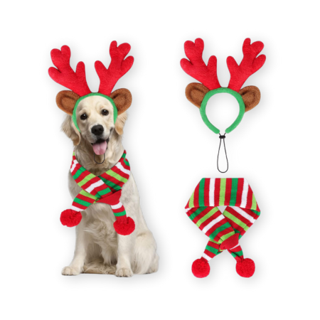 Best Christmas Dog Outfits and Accessories