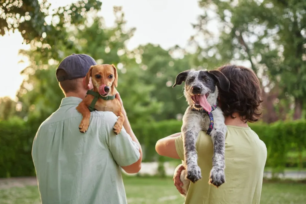 Pet parents with their dogs at the park.