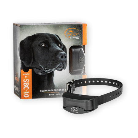 Best Bark Collar for Large Dogs