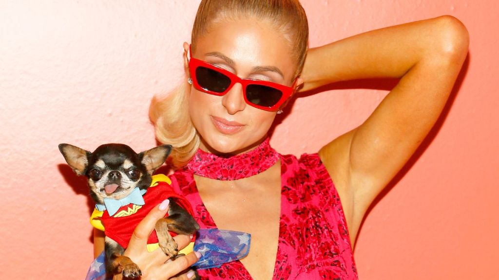 Paris Hilton and her dog attend the Alice + Olivia by Stacey Bendet arrivals during New York Fashion Week: The Shows on September 09, 2019 in New York City.