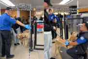 Video of a guide dog getting a pat down from a TSA agent at the airport.