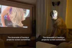 Video of dog casting a shadow by getting in the way of projector screen.