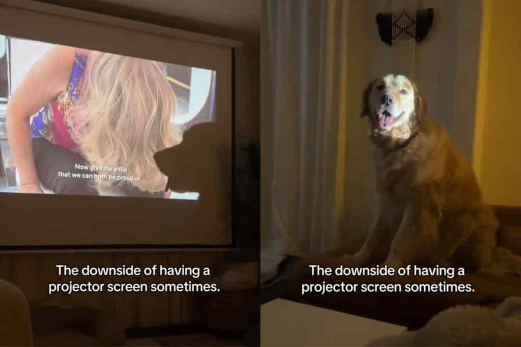 Video of dog casting a shadow by getting in the way of projector screen.