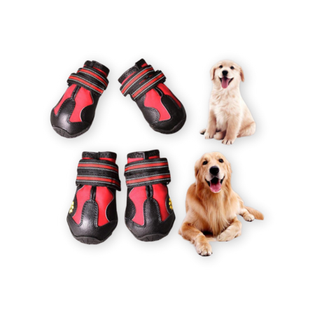 7 Best Dog Boots That Offer the Ultimate Paw Protection