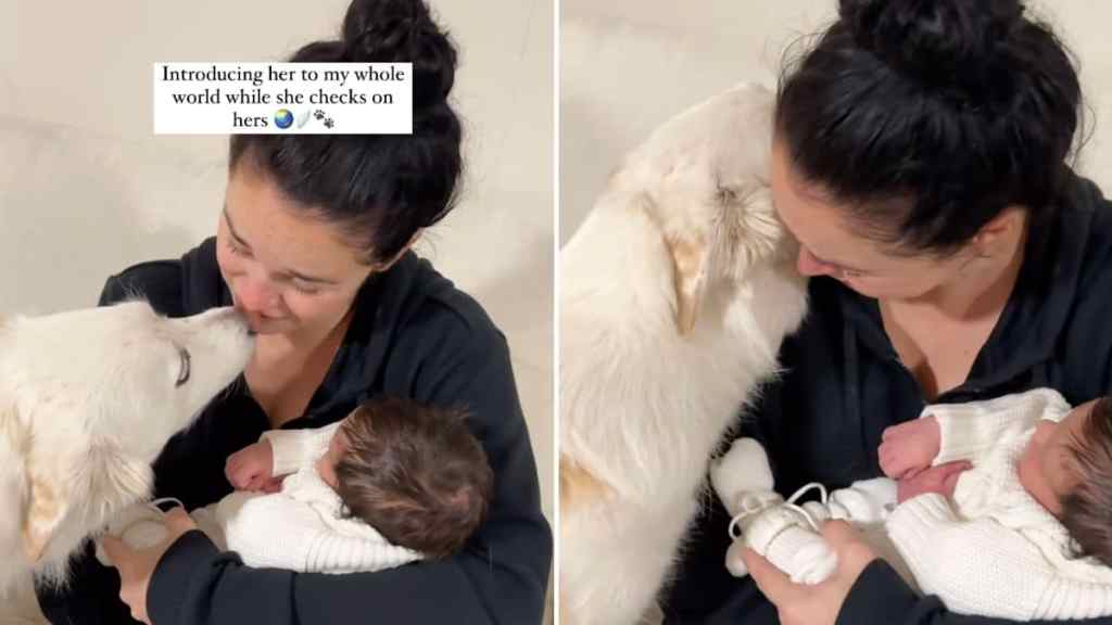 dog baby video