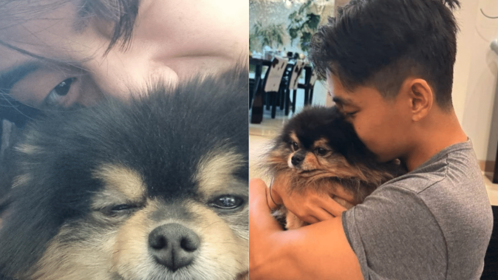 BTS V and his beloved dog Yeontan