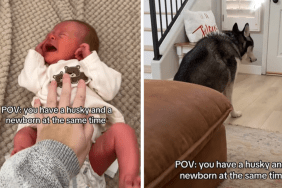 Husky appears to be copying newborn baby's cries
