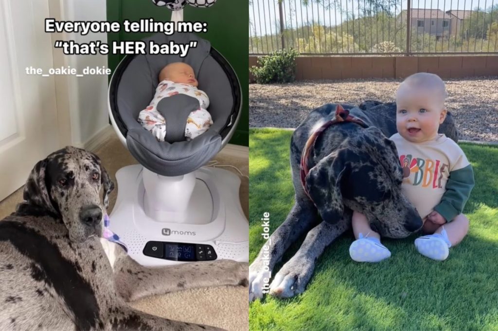 Video of dog and baby’s tender moments.