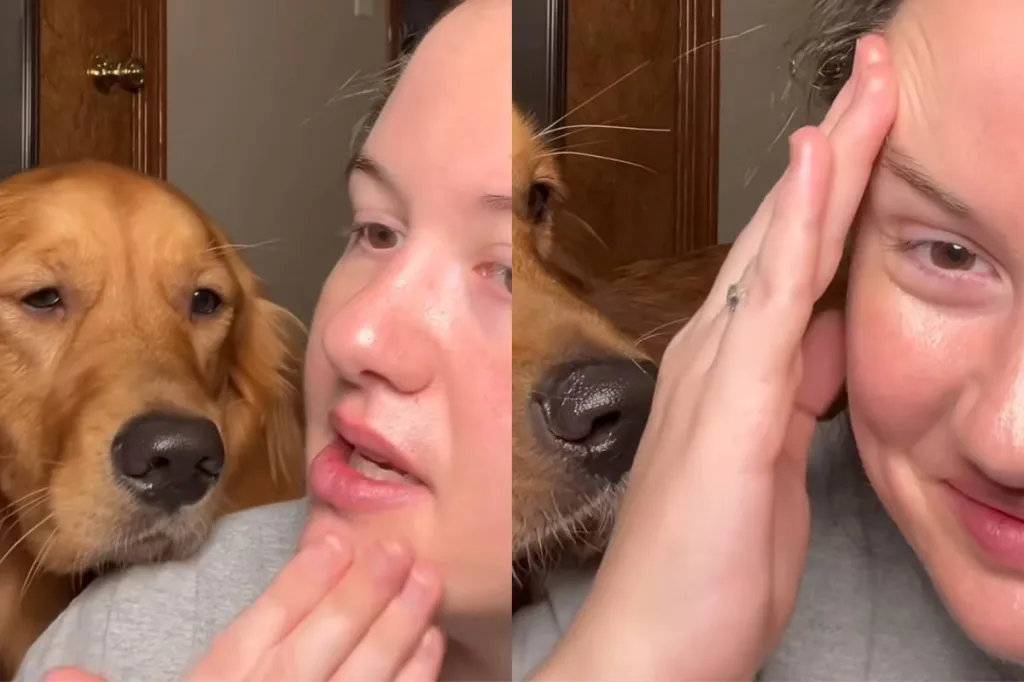 Video of dog interrupting makeup tutorial.