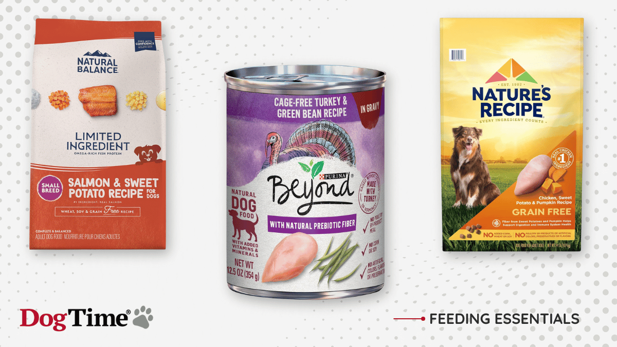 View of The Best Dog Food for Allergies — Curated By Pet Experts