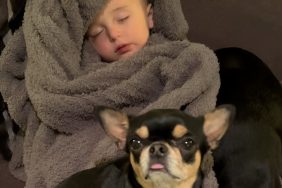 Paris Hilton's dogs with her son who is sleeping.