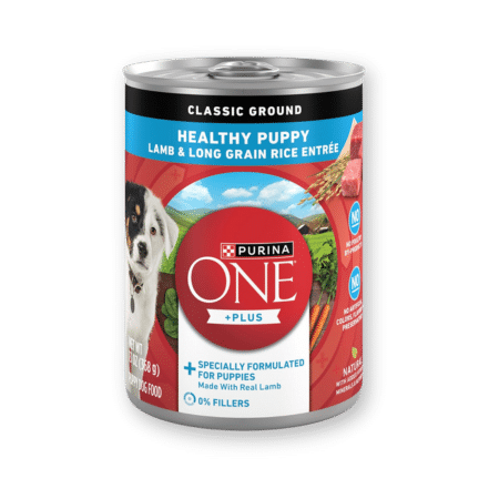 15 Best Puppy Food To Buy In 2025 Expert Approved Picks