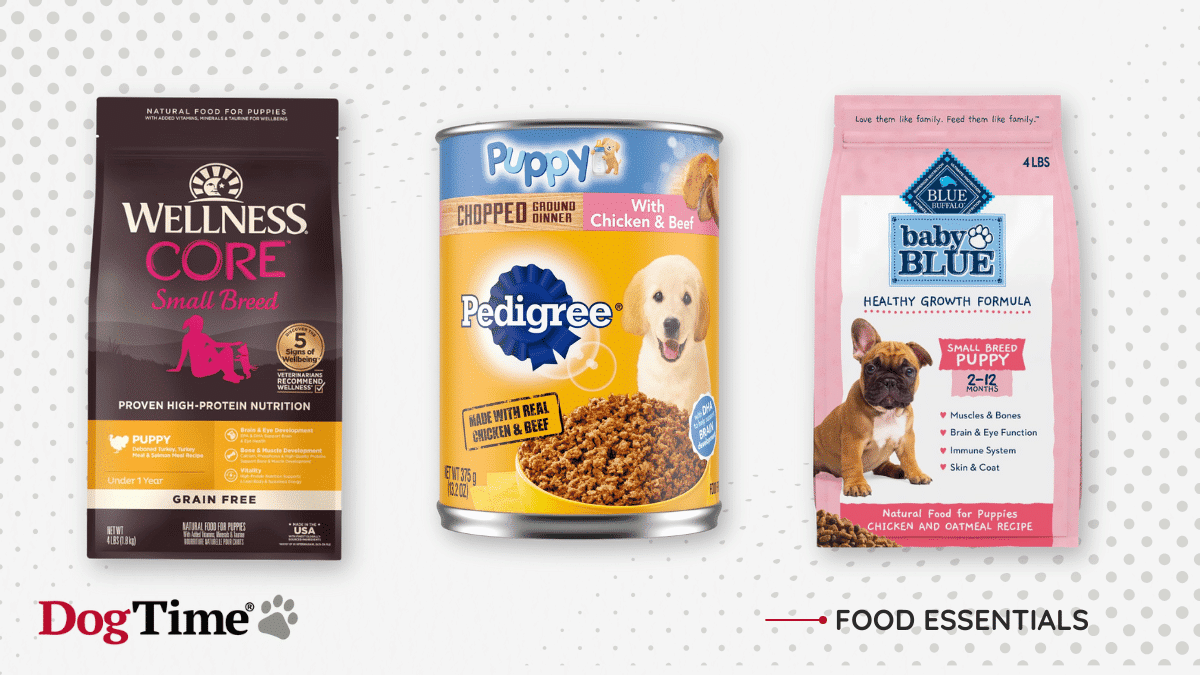 15 Best Puppy Food To Buy In 2025 Expert Approved Picks