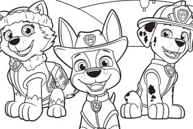 Best PAW Patrol Coloring Pages Books 2025 Crayola Nick Jr.