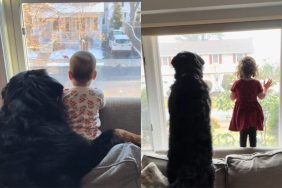 Video of dog and baby girl.