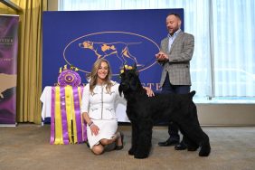 Dog handler Katherine Bernardin, Adam Bernardin, and Monty, a Giant Schnauzer, Best in Show winner, attend the 149th Annual Westminster Kennel Club Dog Show Champions Lunch at Bar Boulud on February 12, 2025 in New York City.