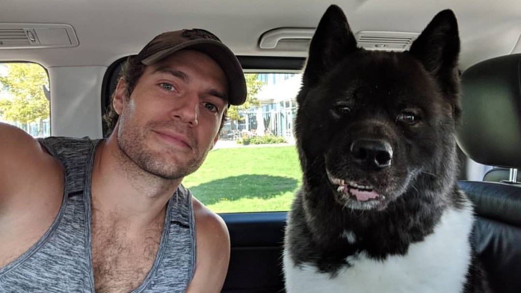 Henry Cavill Dog Kal Kal-El Breed Age How Old