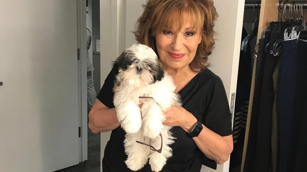 Joy Behar Dog Bernie Age Breed How Old Shih Tzu