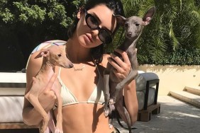 Kylie Jenner Dog Breeds Ages Greyhounds Puppies How Old Many