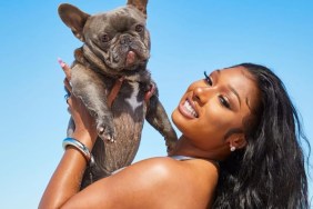 Megan Thee Stallion Dog 4oe Age Breed Foe