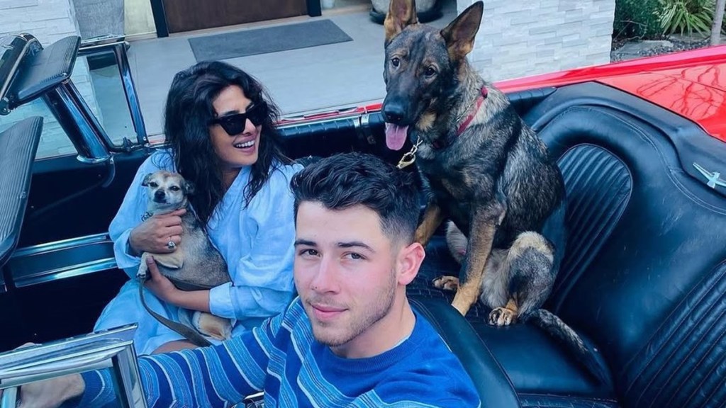 Nick Jonas Dogs Breeds Ages Gino Diana Panda How Old Breed