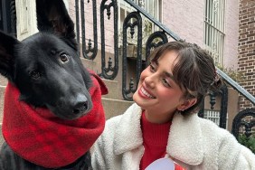 Taylor Hill Dog Salem Breed Age How Old Name