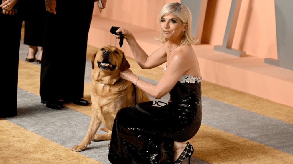 Selma Blair service dog Scout Oscars 2025 party