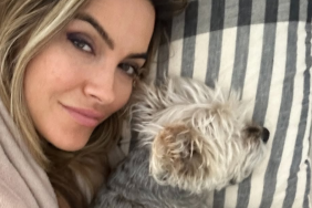 Chrishell Stause dog