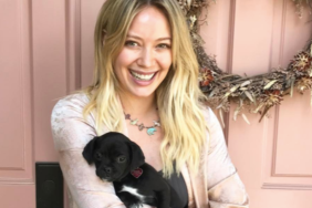 Hilary Duff's Dog