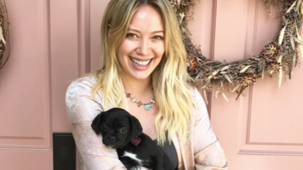 Hilary Duff's Dog