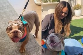 Chrissy Teigen with rescue dog