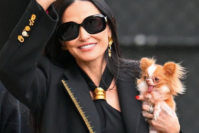 Demi Moore's Dog