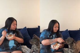 Video of dog begging for food.