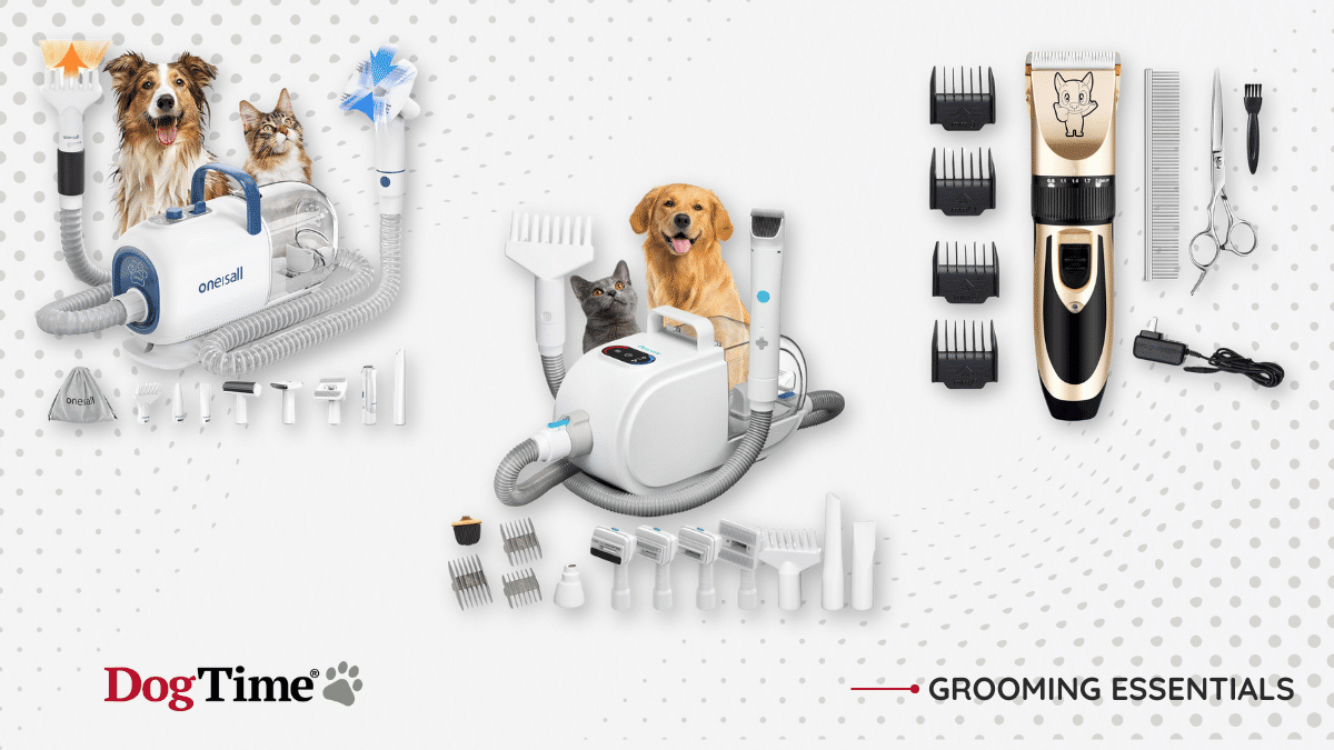 View of The 6 Best Dog Clippers of 2026, Tested and Reviewed