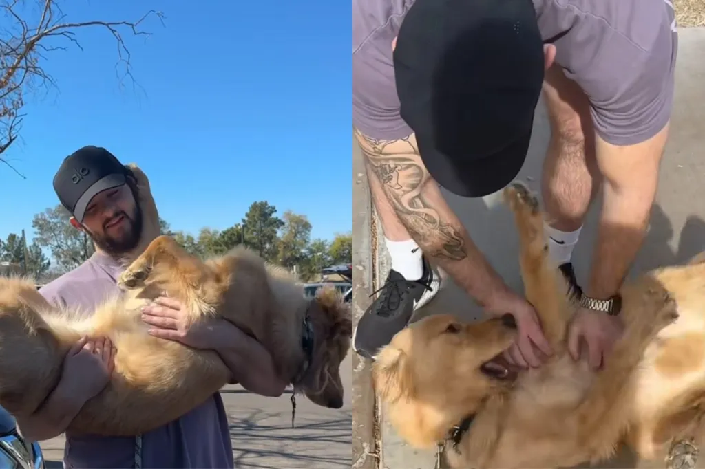 Video of dog at park.