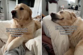 Dog waking up his human