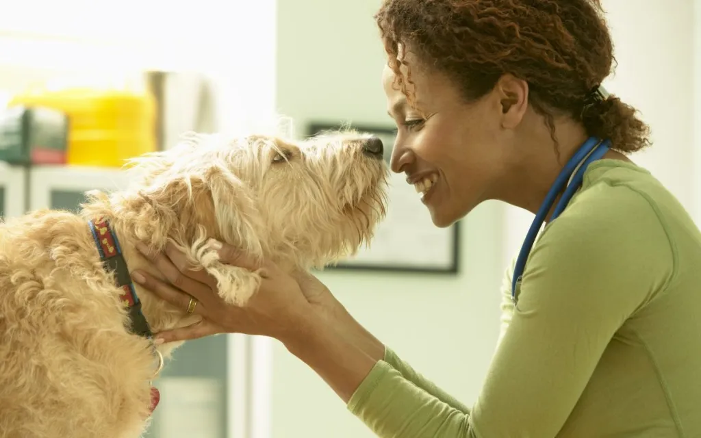 Veterinarian Petting Scruffy Dog