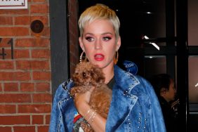 Katy Perry leaves "American Idol" auditions with her dog Nugget on October 30, 2018 in New York City.