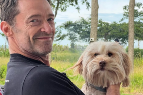 Hugh Jackman's Dog Allegra