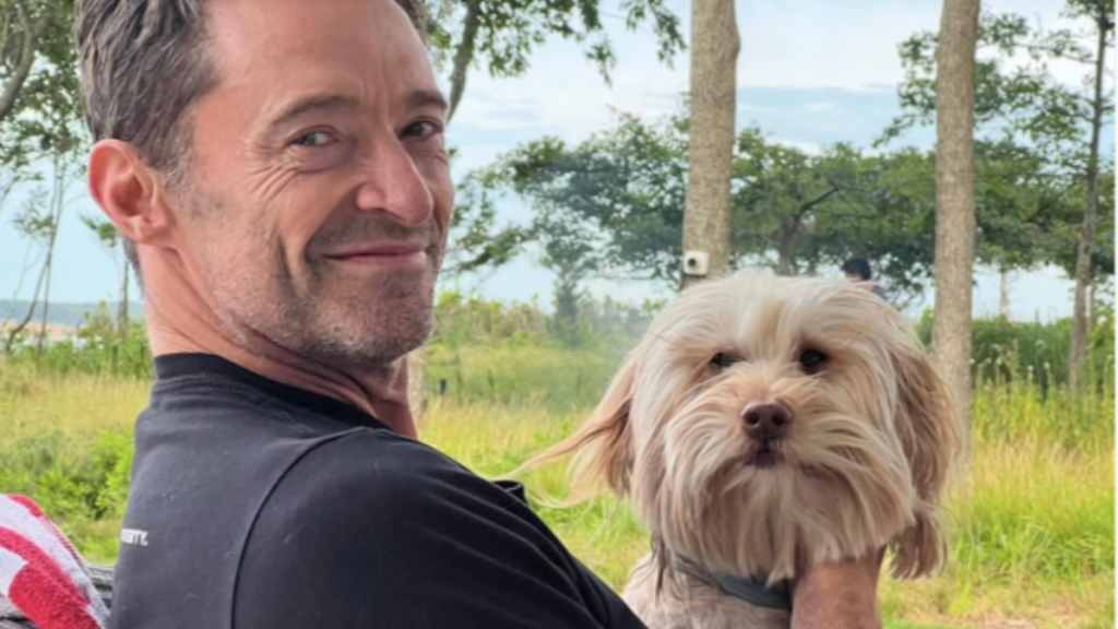 Hugh Jackman's Dog Allegra