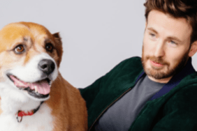 Chris Evans' Dog Dodger